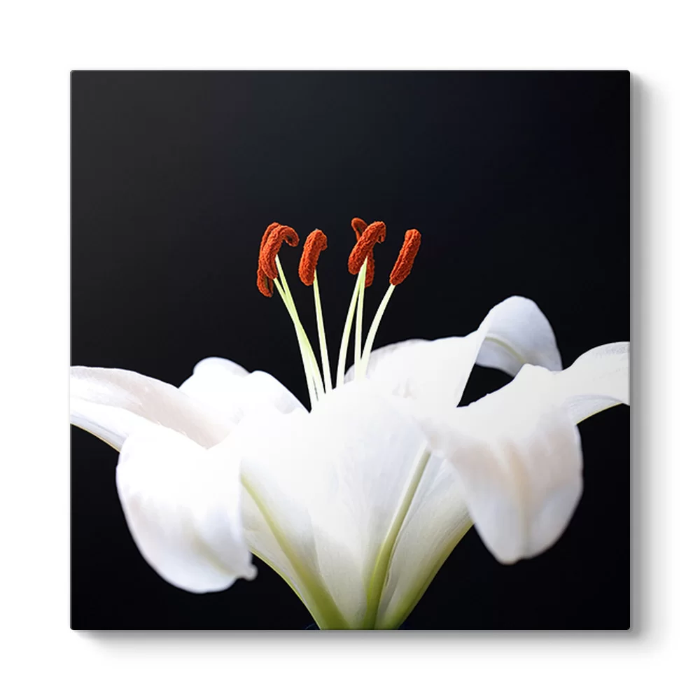 Blossom Tablosu - Model 3